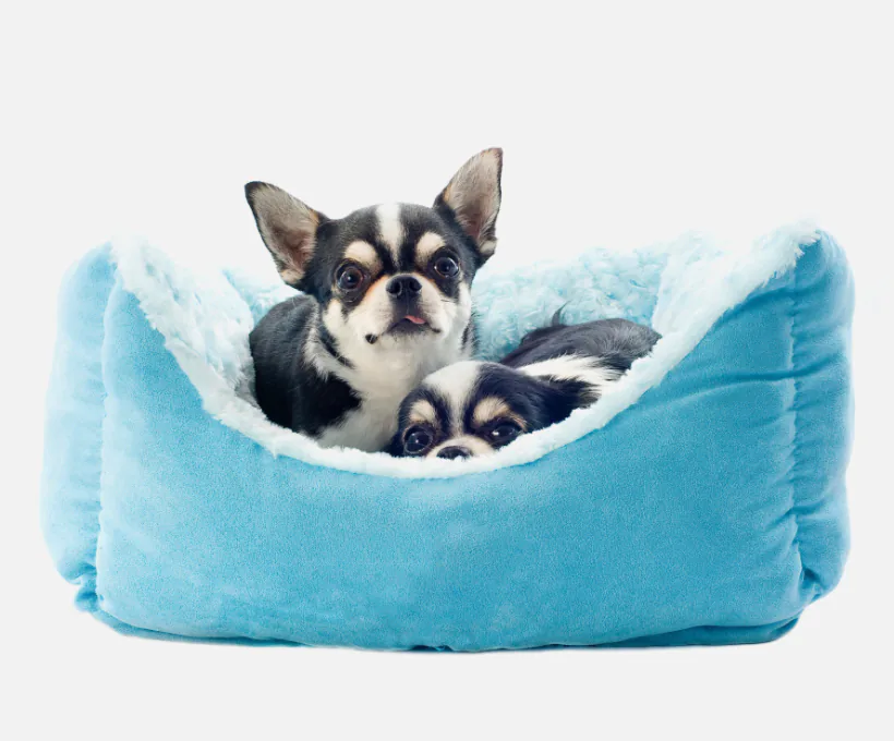 Small Pet Bed