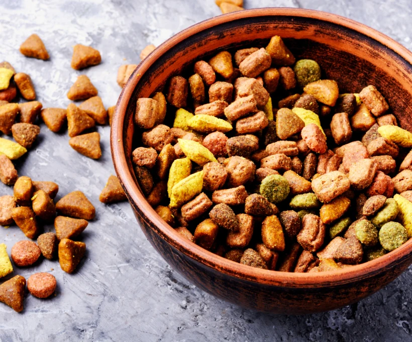 Dog Food