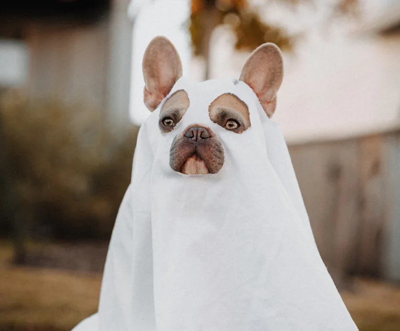 Ghost Costume